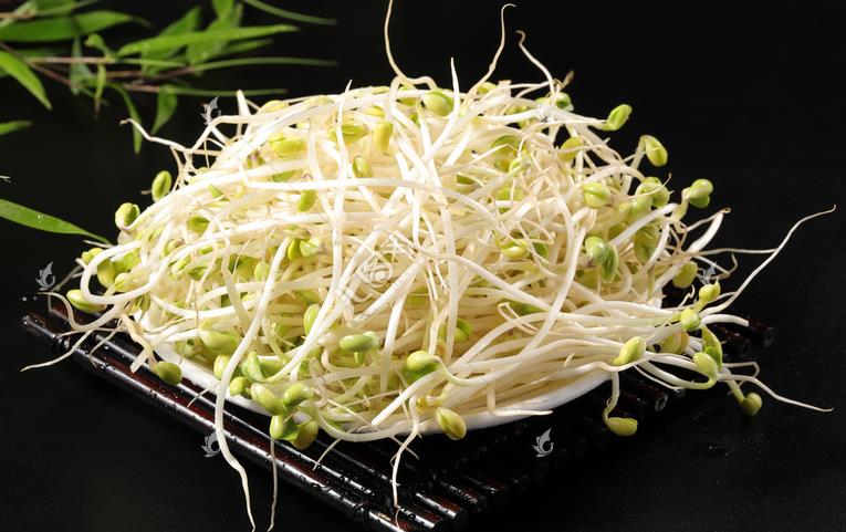 無公害綠色豆芽，怎么生產(chǎn)出來的？全套生產(chǎn)過程如此方便智能